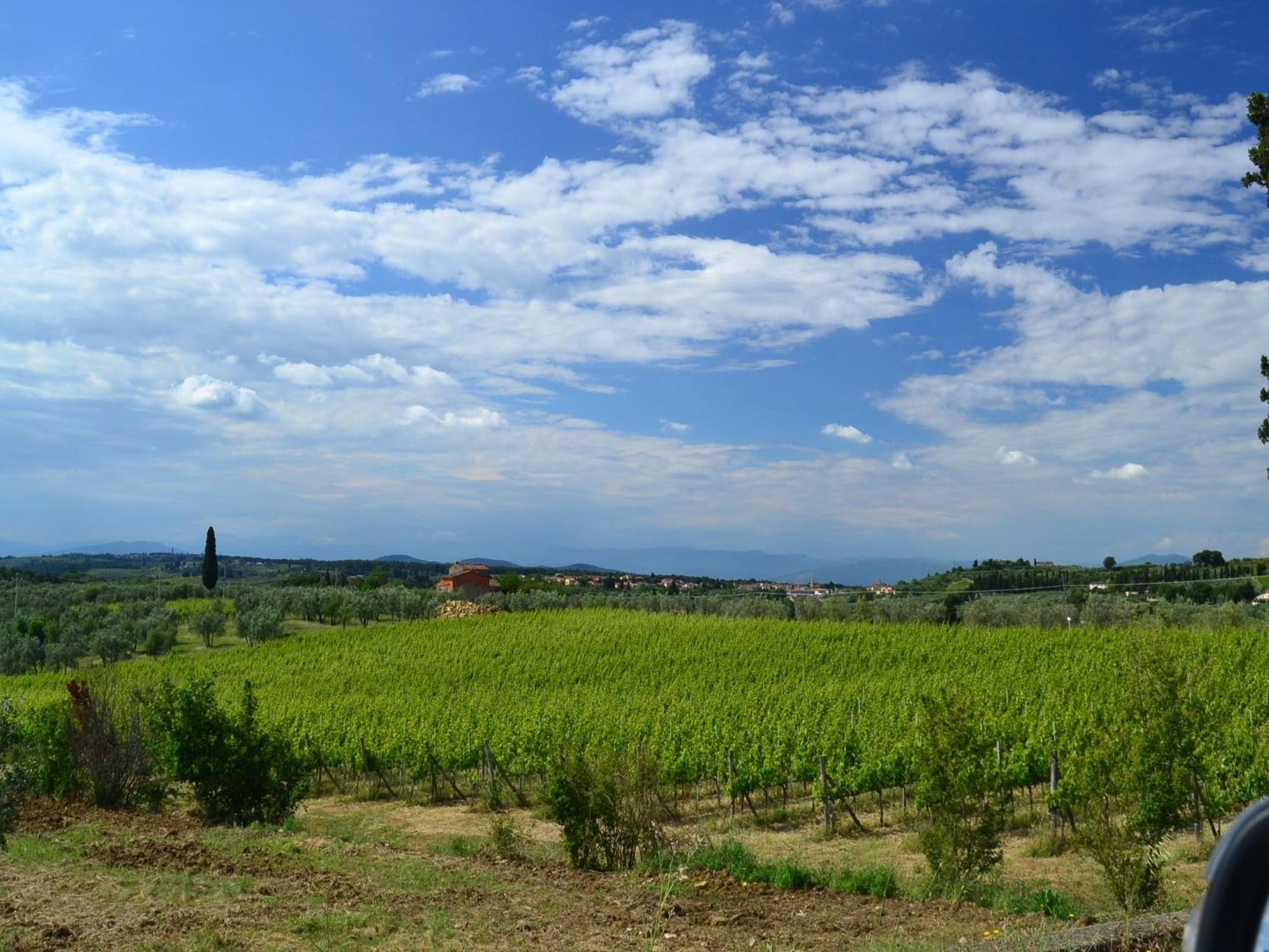 Lovely Holiday Home In Montefiridolfi With Hill View Экстерьер фото