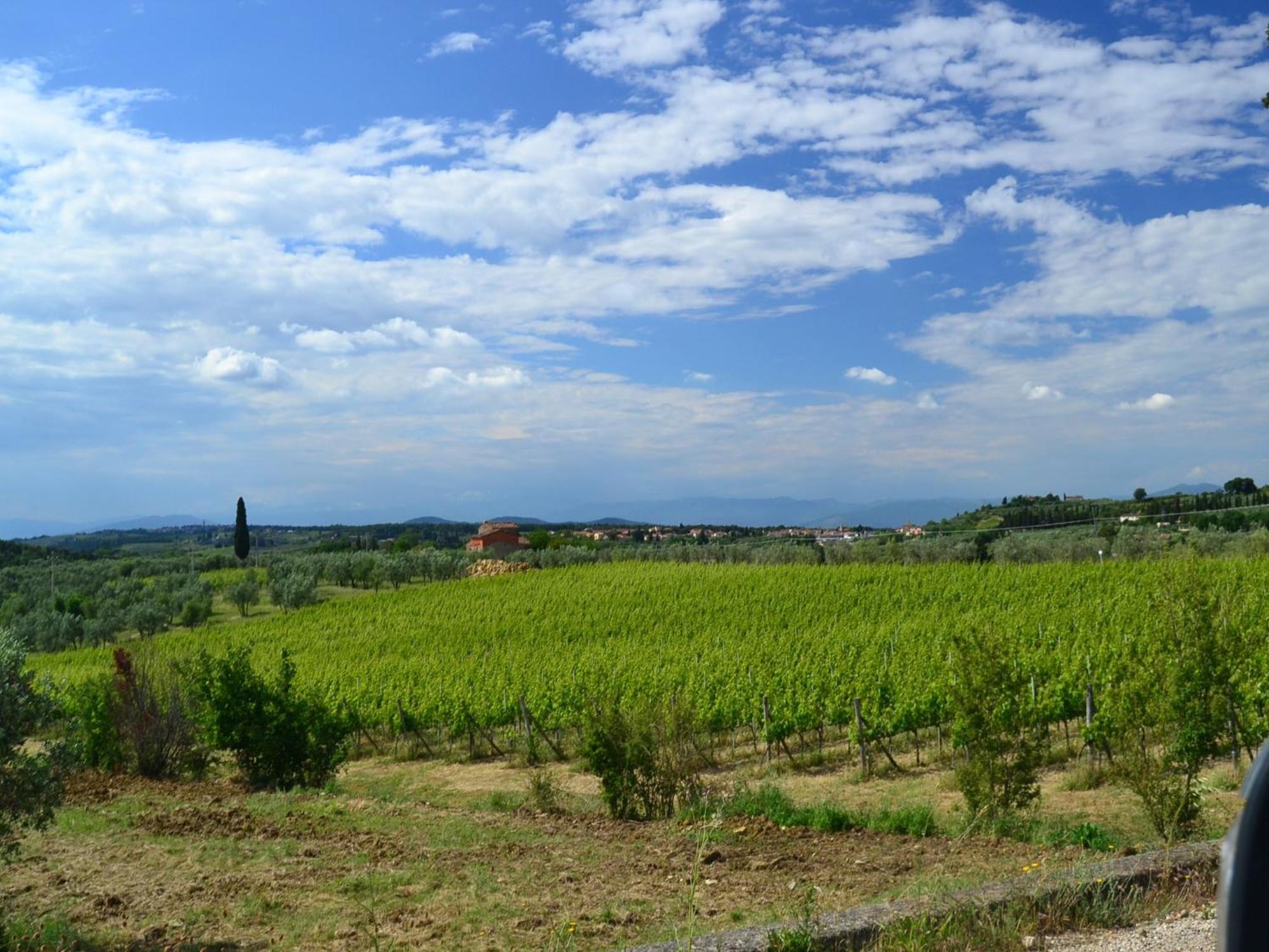 Lovely Holiday Home In Montefiridolfi With Hill View Экстерьер фото