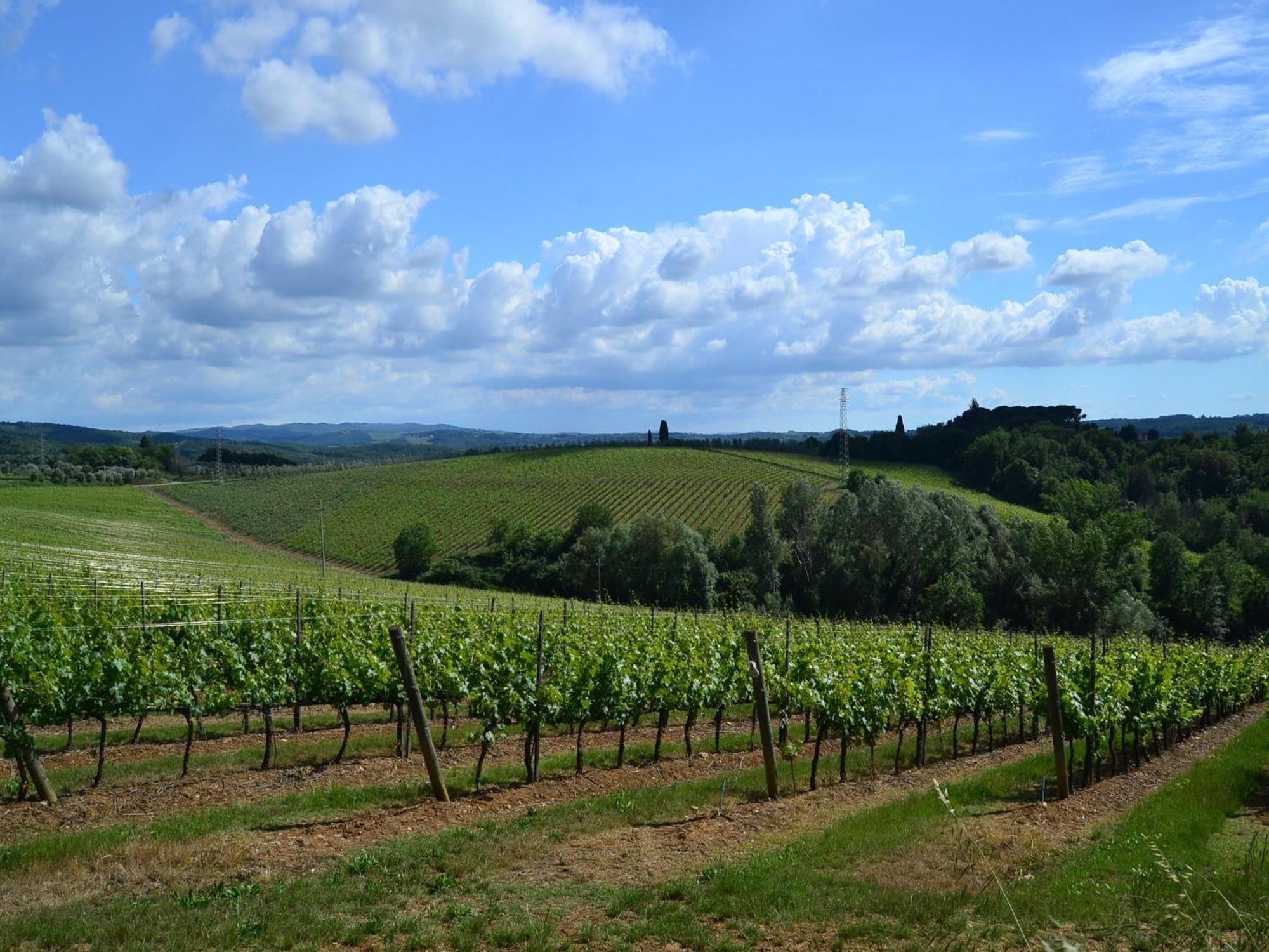 Lovely Holiday Home In Montefiridolfi With Hill View Экстерьер фото